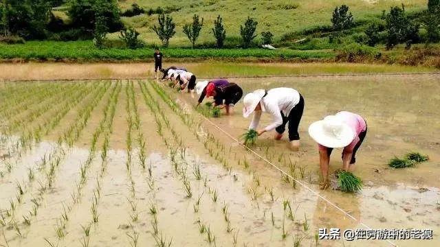 今日特码科普！招惹电视剧免费观看全集完整版高清,百科词条爱好_2024最快更新