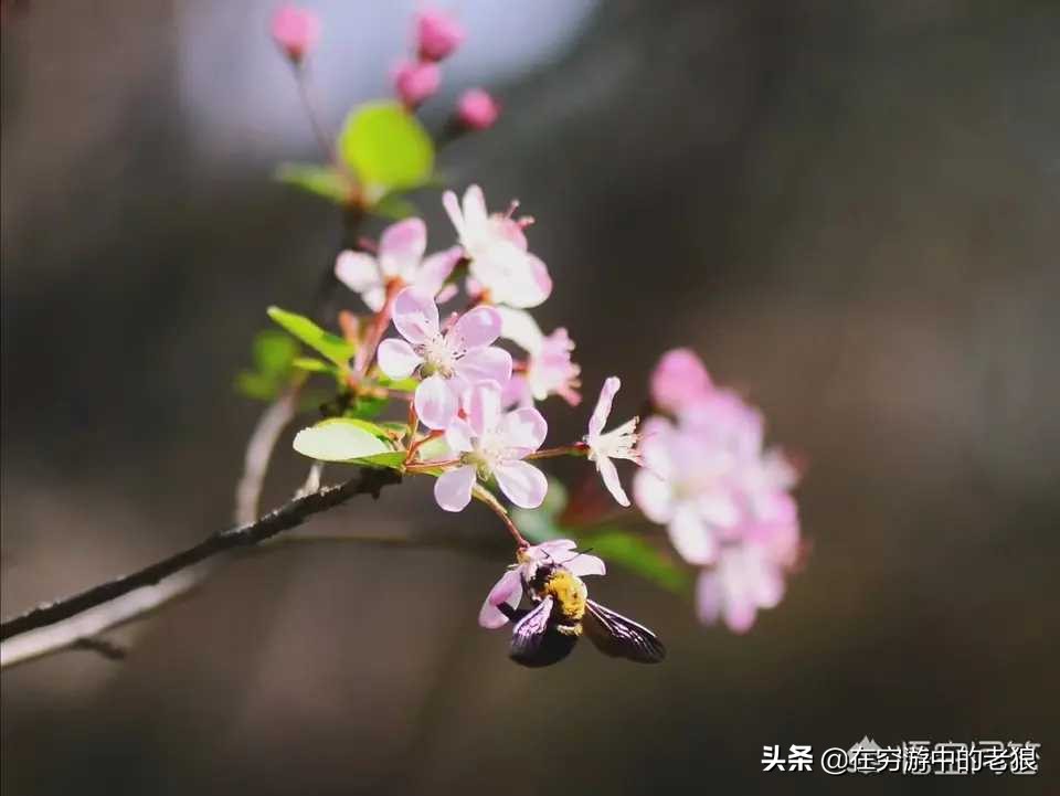 今日特码科普！招惹电视剧免费观看全集完整版高清,百科词条爱好_2024最快更新